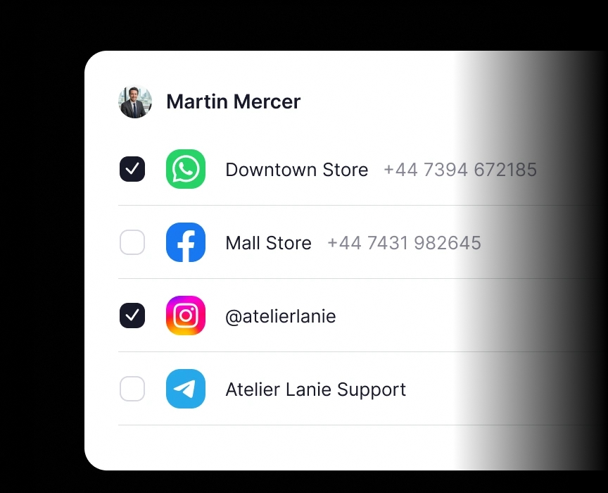Employee channel access settings for WhatsApp, VK, Instagram, Facebook and Telegram in YoLead